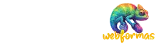 WebFormas, agência de marketing digital em SP